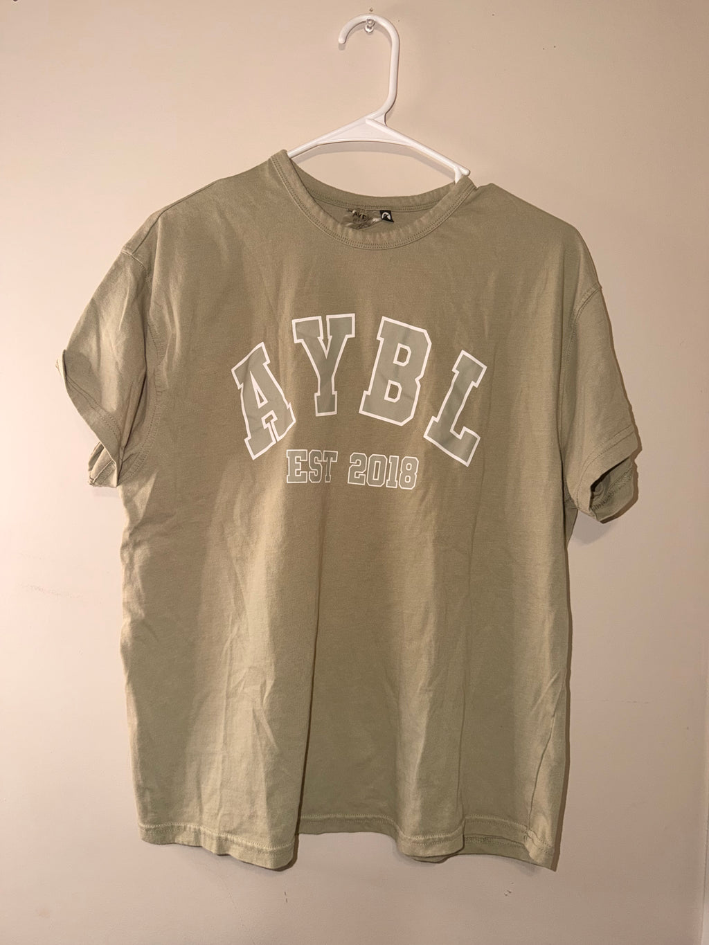Aybl USA Varsity 2.0 Oversized Tee - Medium
